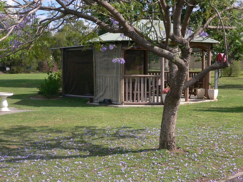 Chinchilla Motel Dış mekan fotoğraf
