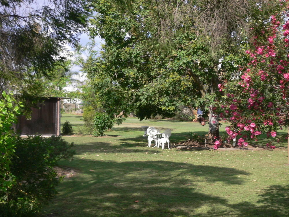 Chinchilla Motel Dış mekan fotoğraf